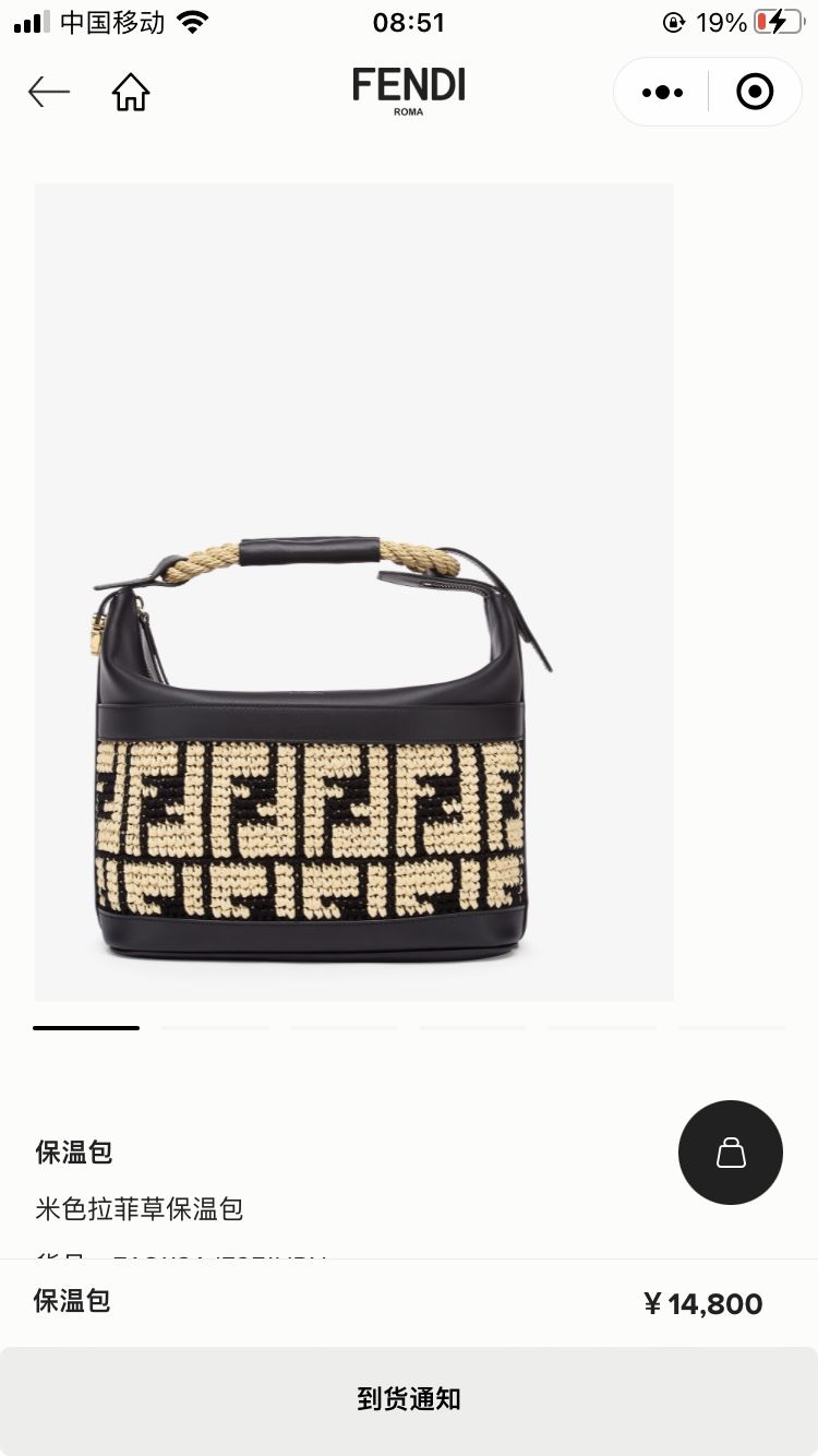 Fendi Top Handle Bags